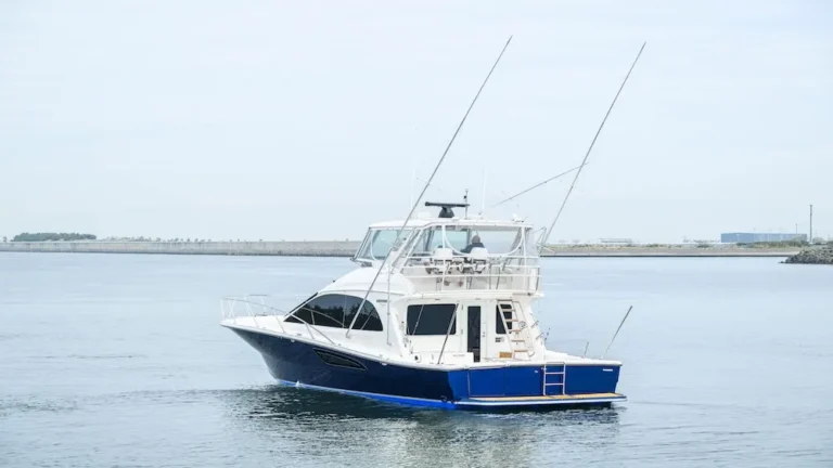釣り好きが船舶免許を取るべき理由ガイド